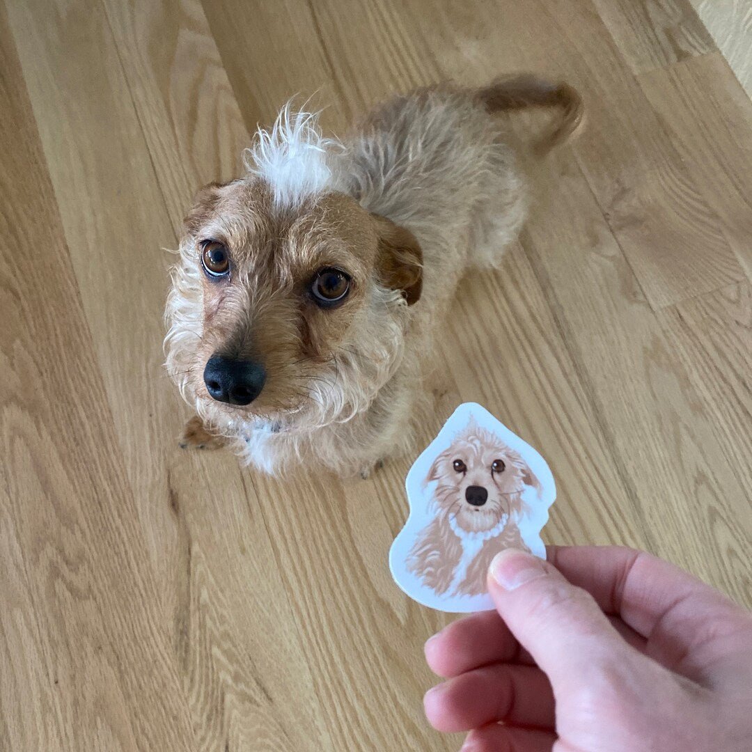 Personalized Dog Face Stickers - oneofakindcreatives